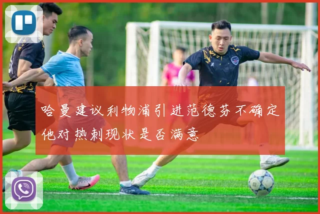 哈曼建议利物浦引进范德芬不确定他对热刺现状是否满意