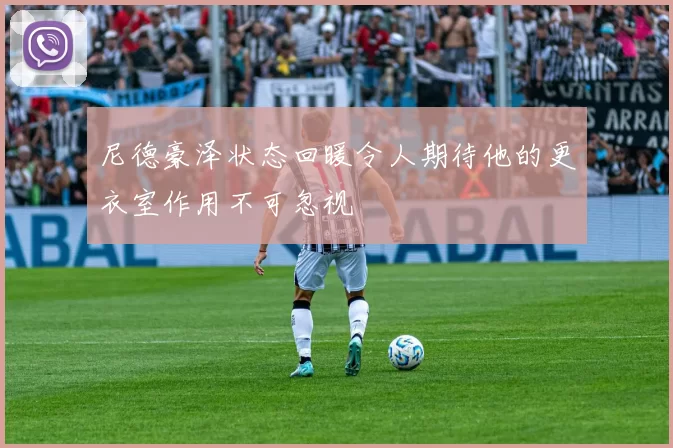 尼德豪泽状态回暖令人期待他的更衣室作用不可忽视